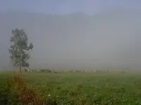 Morgenspaziergang im Herbst (10).webp