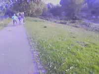 001003_172741.webp