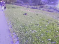 001003_172839.webp