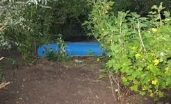 Blick_von _vorne_zur_Quitte.webp