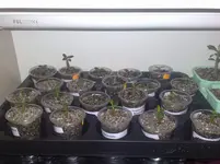 18092010720.webp 18092010720.webp