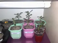 18092010719.webp 18092010719.webp