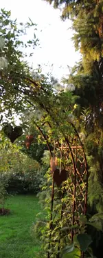 03.10 (15) Herzig.webp