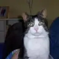 Joey1