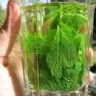 MissPeppermint