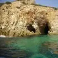 vincis