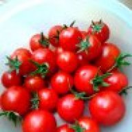 tomate_s