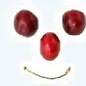 Veredler