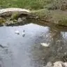 Magiristi