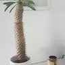 OnkelMo95