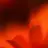 starsun