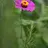garten_ti_na