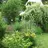 Swen aus Sasel