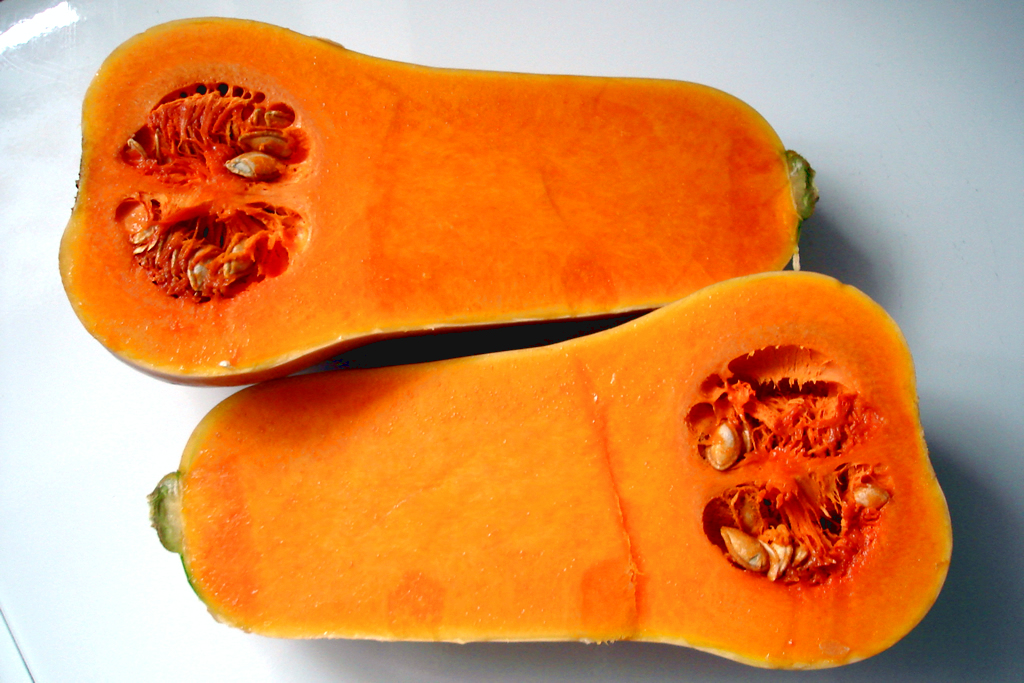 butternut01hg-hufi.jpg