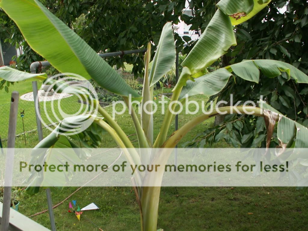 PICT0054.jpg