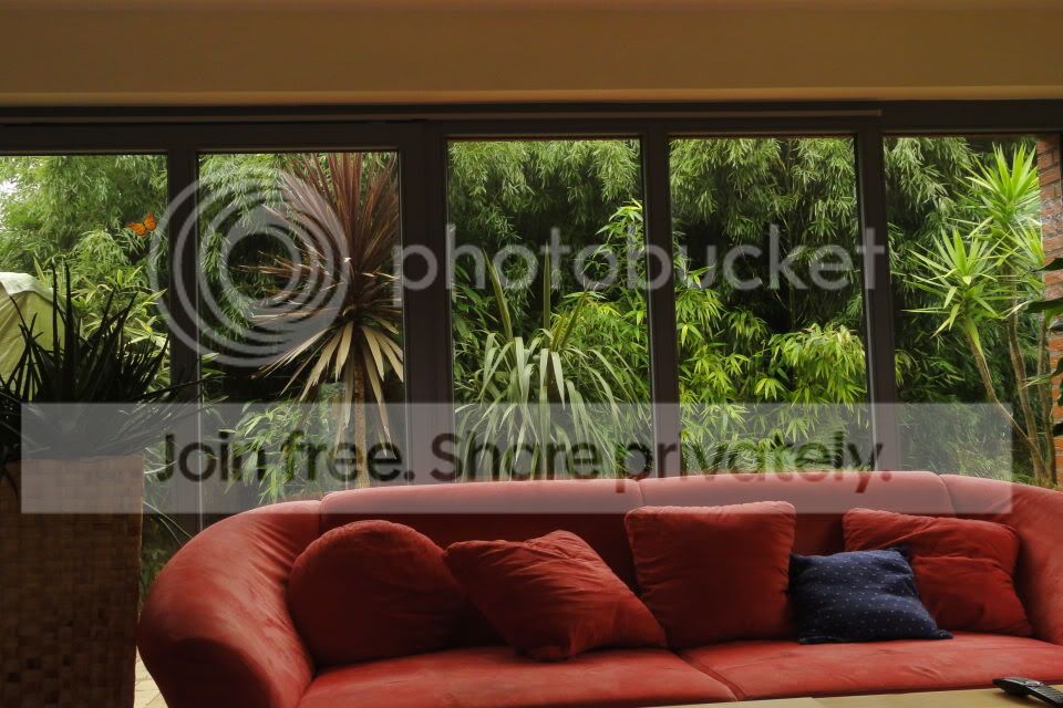DSC00650-1.jpg