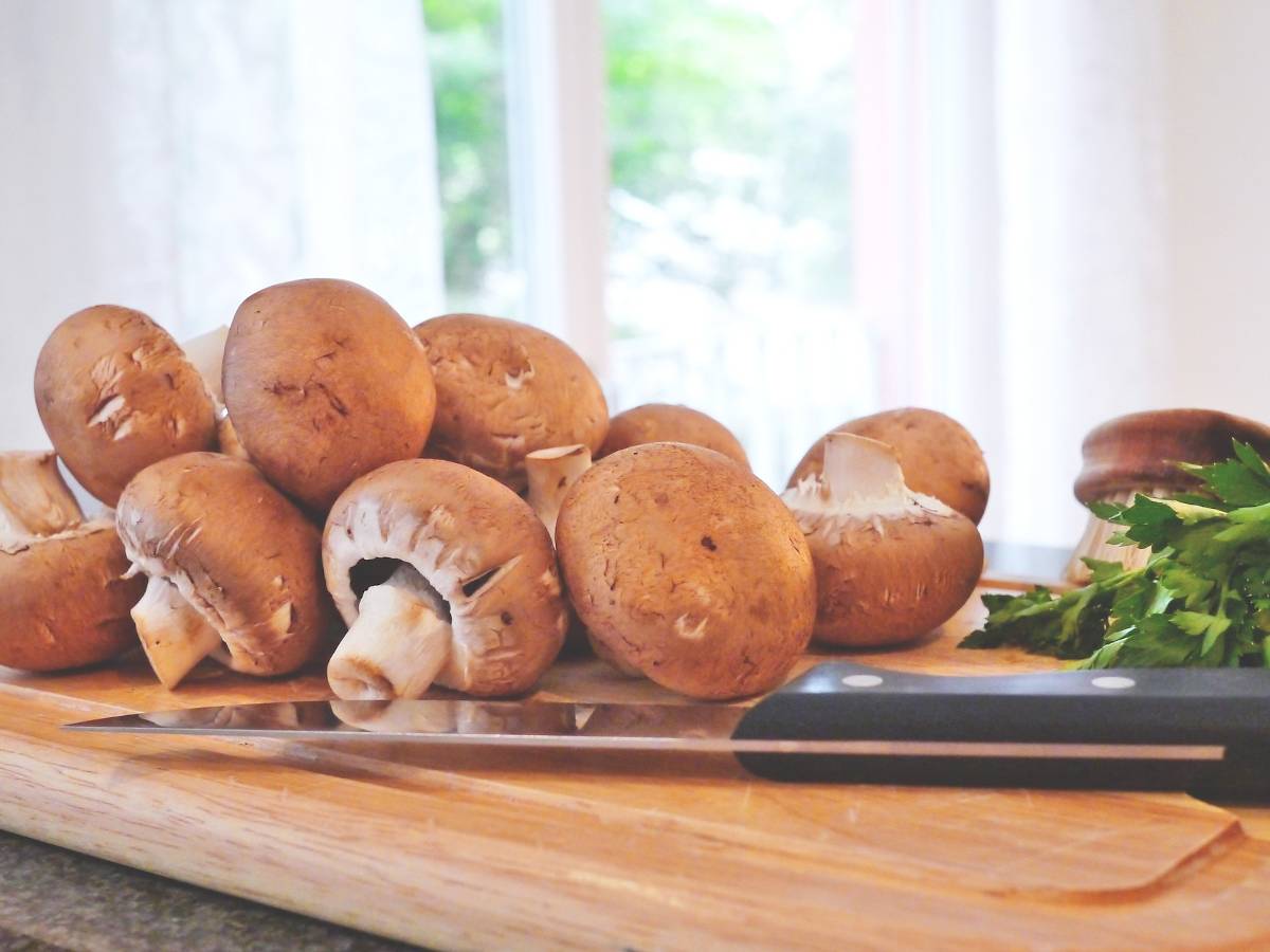 www.vegpool.de