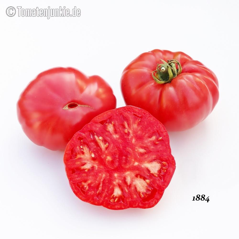 www.tomatenjunkie.de
