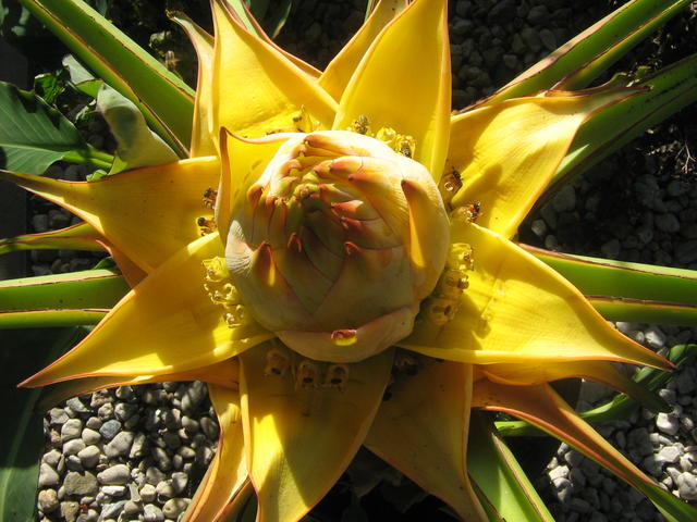 23005201jx.jpg
