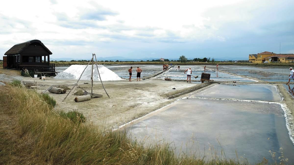 ecomuseocervia.it