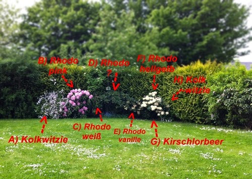 13a.JPG