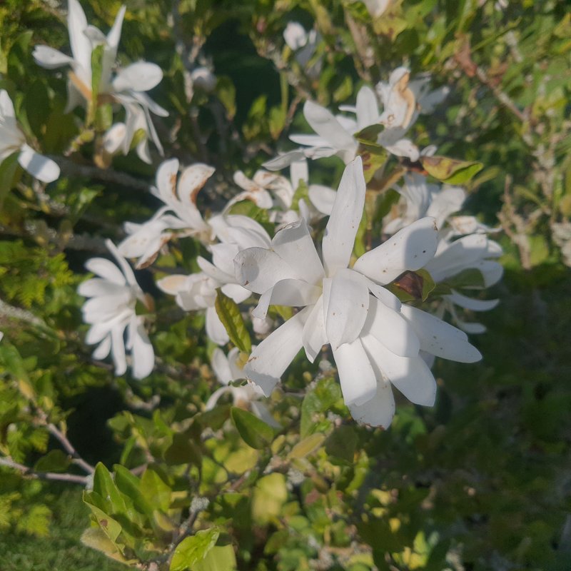 39387102de.jpg