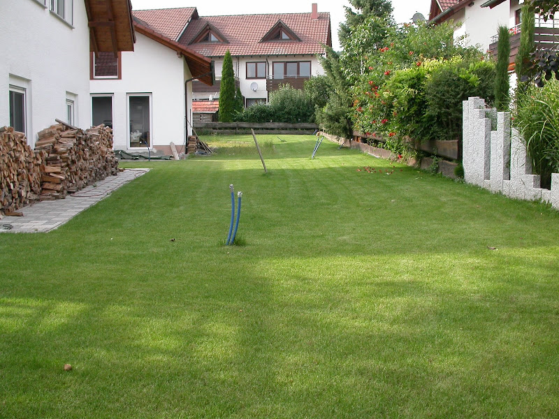 DSCN1464.JPG