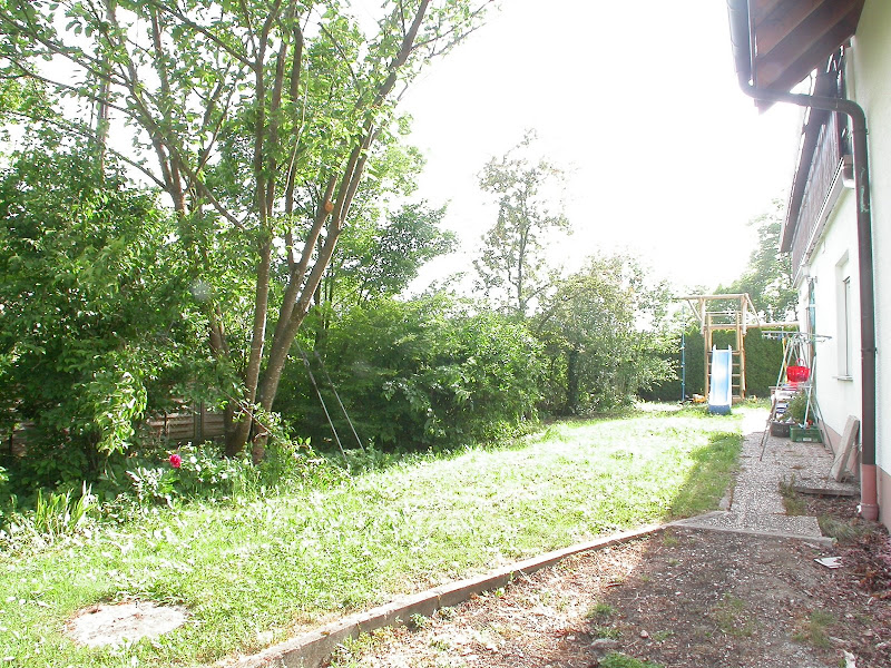 DSCN1005.JPG