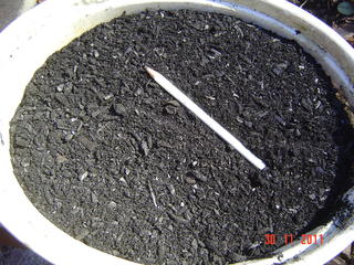9618092nja.jpg
