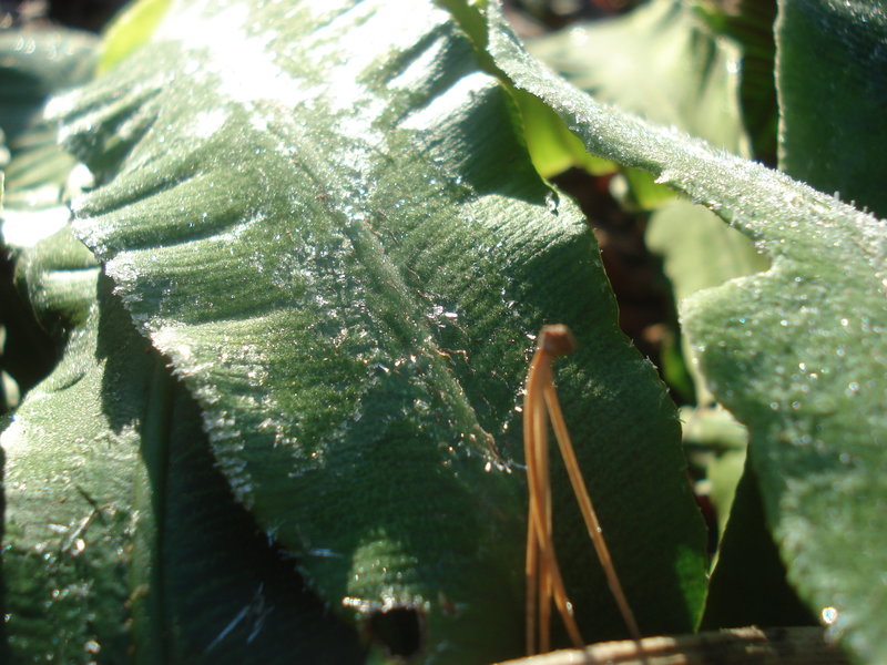20610296cp.jpg