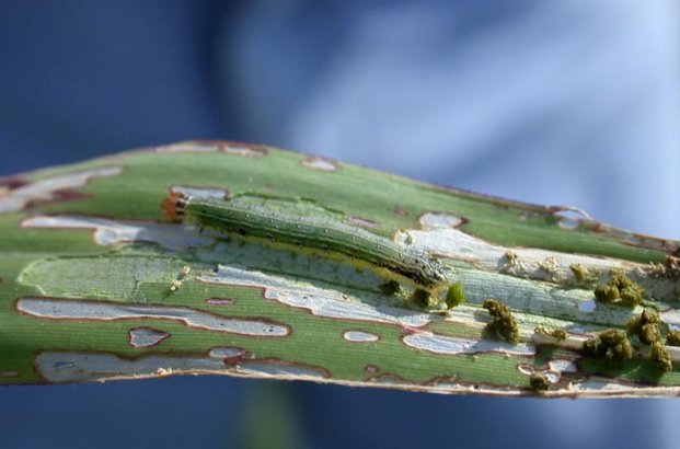 bioprotectionportal.com