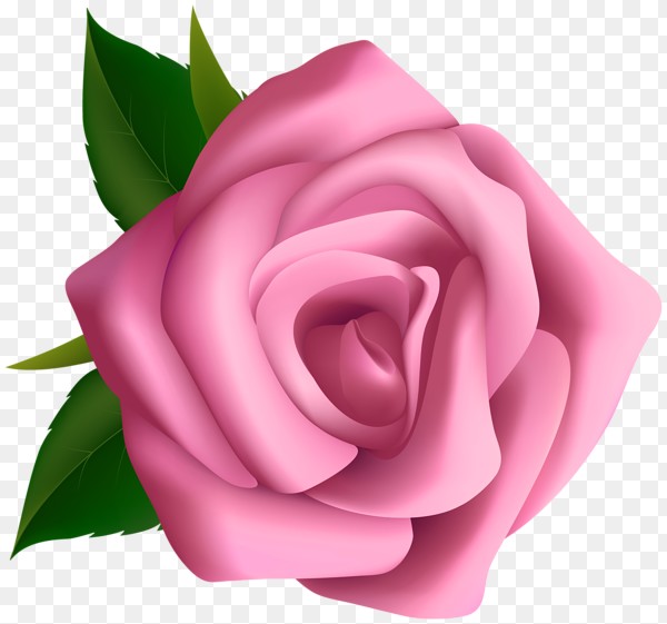 rose-clip-art-13.jpg