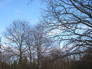 bhrsmm4jn7ipj0r5r.jpg