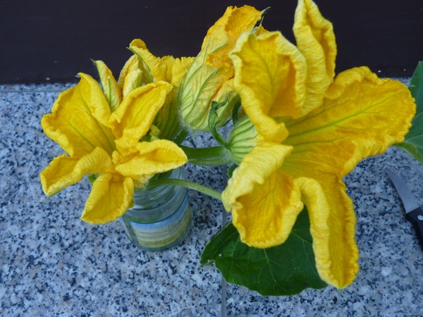 5_p1080164_1.jpg