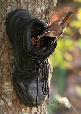 www.pinterest.de
