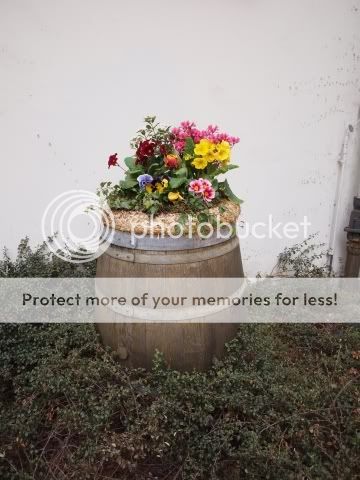 Blumenfassa.jpg
