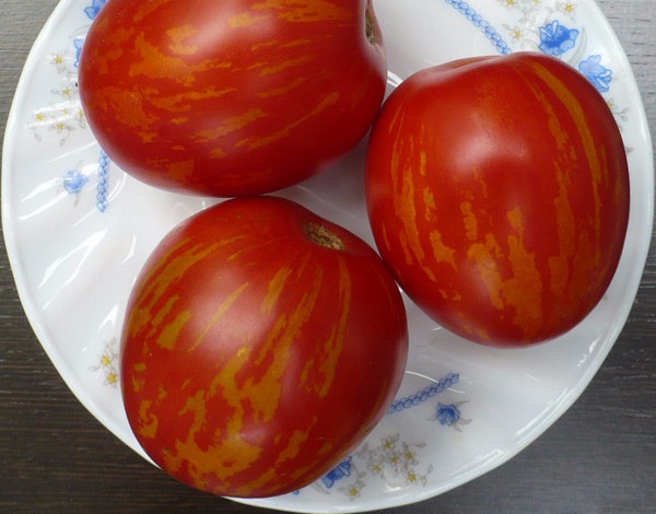 tomatland.ru