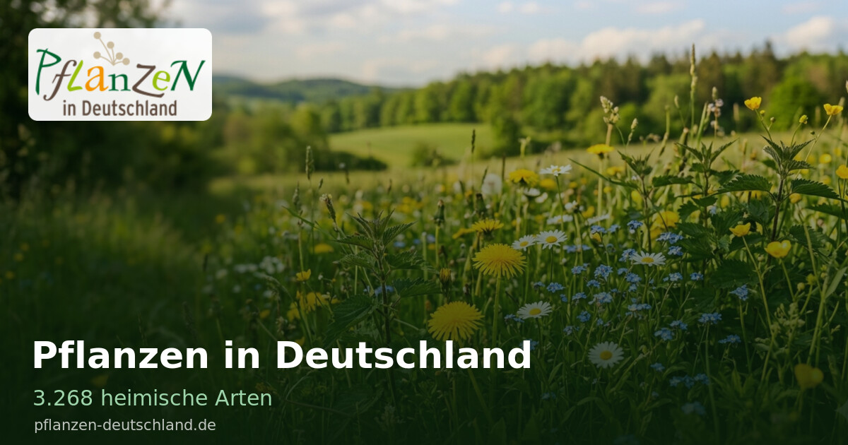 www.pflanzen-deutschland.de