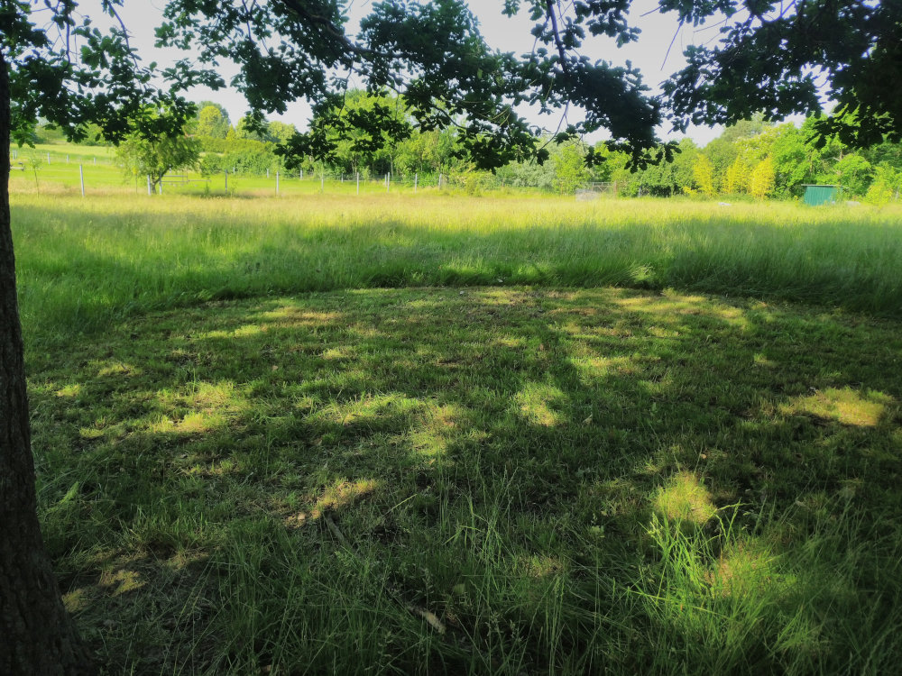 sitzecke_17.06.2025.jpg