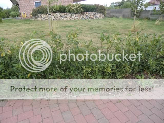 CIMG0256.jpg