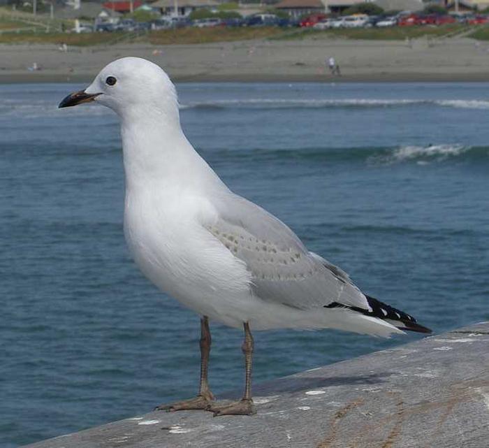 4138848.jpg