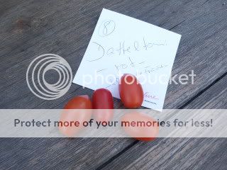160808Dattel-Tomate.jpg
