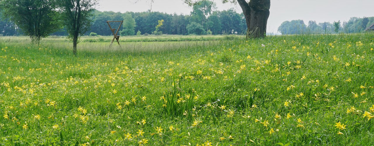 wittelsbacherland.de