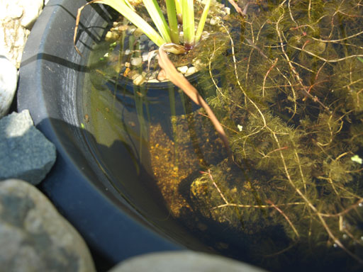 22010054uk.jpg