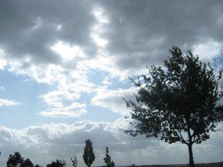 bczukcesoibchup62.jpg