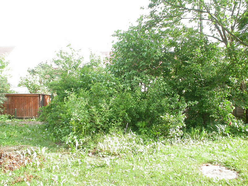 DSCN1004.JPG