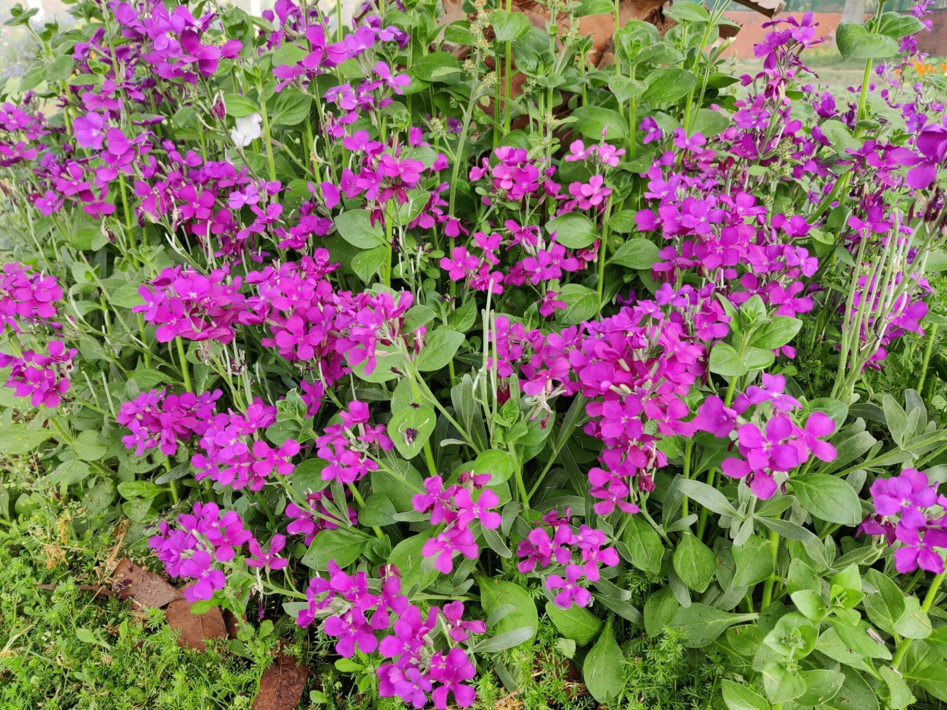 www.naturadb.de