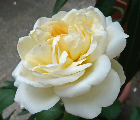 31146597qx.jpg