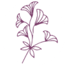 www.joyusgarden.com
