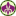 www.orchideen-info.de